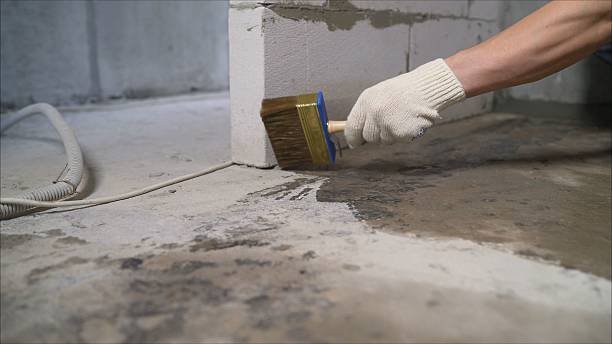 24/7 Emergency Basement Waterproofing experts in Cottage Grove, OR
